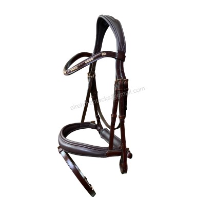 Leather Bridle 